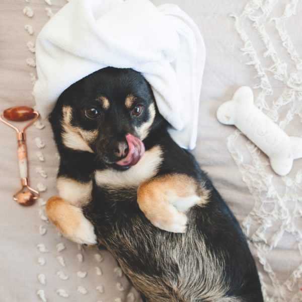 Woof Queen Peppermint Bath Bomb
